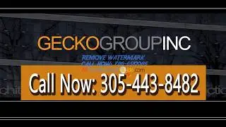 Gecko Group INC