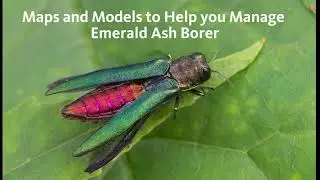 Maps and Models to Help you Manage Emerald Ash Borer