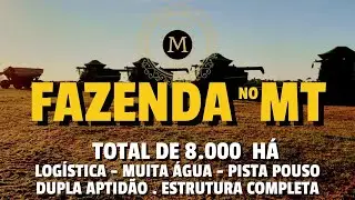 FAZENDA ARROJADA E PRODUTIVA NO MT COM 8.000 HA ESTRUTURA PODEROSA ASFALTO NA PORTA -MercadodeAtivos