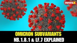 Dr. Chinmay Gupta on India&rsquo;s COVID Surge: Omicron Subvariants Drive Cases