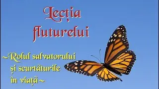 Povesti terapeutice: Lectia fluturelui | Dezvoltare personala