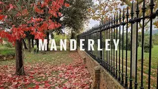 El &aacute;rbol rojo de Manderley. Sonido ambiental sin m&uacute;sica. Relaxing Nature. 