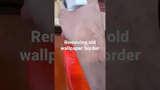 Trick for removing wallpaper and borders (paper faced)