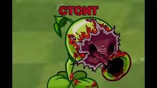 Test dead pea(dc2/pvz)
