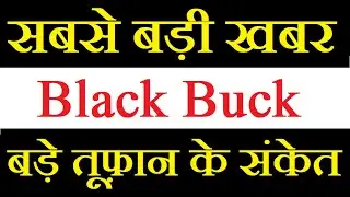 Black Buck share latest news today / अब भागेगा ताबड़तोड़ ये शेयर