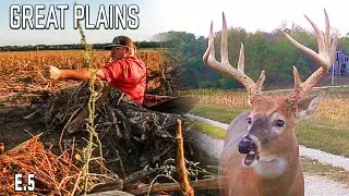 Planning A Layout Blind Ground Attack, Early Season Hunting In The South #hunting #deerhunting