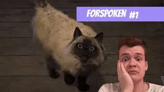 #1 Прохождение ▶ Forspoken \ Форспокен (котэич!)
