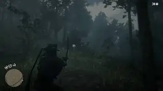 RDR 2 - I'm DedMedic and I'm An Elk-Aholic