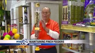 Green Thumbs: Finch Feeders