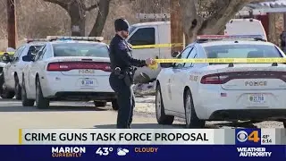 Indiana crime guns task force proposal