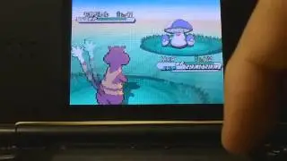 (WSHC) LIVE REACTION! 5% Shiny Amoonguss in White 2!