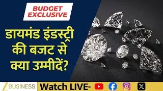 What Does the Diamond Industry Expect from the Budget? Ground Report