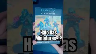 Что такое Halo Flash Point?