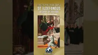 23rd January &ndash; Saint of the Day: St. Ildefonsus, Bishop of Toledo Champion of the Virgin Mary