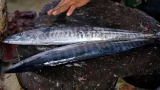 Amazing Barracuda Fish Cutting Skills The Best In The World