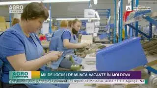 Mii de locuri de muncă vacante &icirc;n Moldova &ndash; AGRO TV News