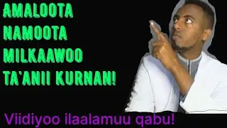 Amaloota namoota milkaa'oo ta'anii kurnan