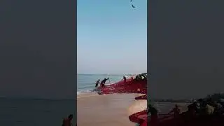 The Fishermen of Kodi Beach