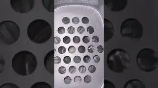 Apple Airpods Max Condensation Issue