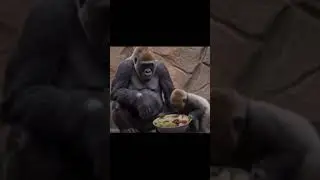 #viralvideo #funny #funnyshorts #comedy #song #relationship #bonding #whowillbemylifepartnerta