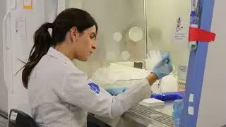 UF/IFAS Department of Animal Sciences Research Highlight: Dr. Jos&eacute; Santos