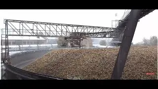 Beautiful modern technology factory Automatic sugar beet processing factory