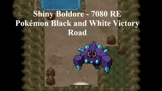 [LIVE] Shiny Boldore in Pokemon White in 7080 REs