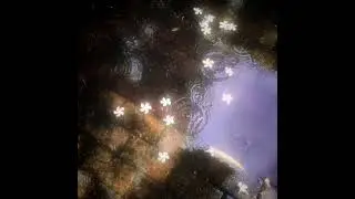 amalik - where light learns your name 
