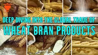 Wheat Bran Exports can be more Profitable than the Wheat. Learn the Uses, Trends and Opportunities