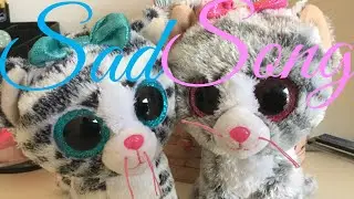 Sad Song | Beanie Boos MV
