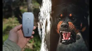 Czy odstraszacze ps&oacute;w działają? Testujemy Dazer II i Dogchaser II