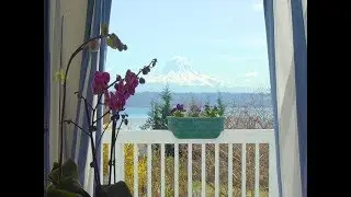 Vashon Island One Level View home Seattle real estate video