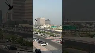 iPhone 14 pro max zoom test 1x 2x 3x optical zoom and all the way to 9x digital zoom