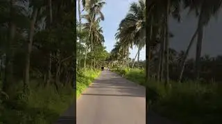 #goa #goaroadtrip #goavillage #parra #goaparraroad
