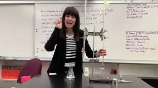 Standardization Lab