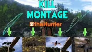 theHunter KILL MONTAGE- theHunter 2016- Javan5221