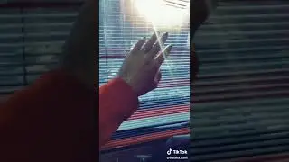 freshta alimi47