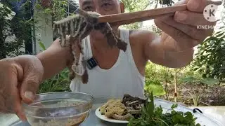 X&Aacute;CH TR&Acirc;U, TỔ ONG TR&Acirc;U LUỘC CHẤM TƯƠNG GỪNG | DƯƠNG CƯ 1961TV.