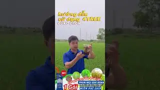 HƯỚNG DẪN SỬ DỤNG 4TREE Đ&Uacute;NG C&Aacute;CH