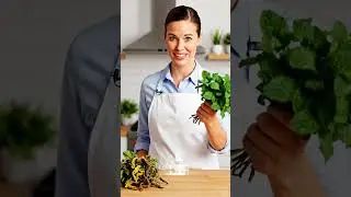 Mint Buying Guide #buyingguide #buying #buyingprocess #8millionviews #5mveiws #1mviewers #trending
