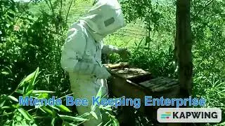 Mtende Bee Keeping