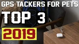 Best Gps Tackers for Pets 2019 - Best Pet GPS Trackers