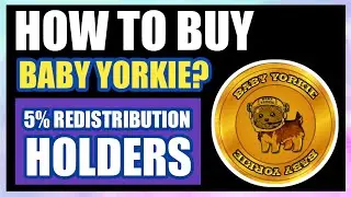 HOW TO BUY? BABY YORKIE TOKEN! |JUST HOLD & EARN MONEY NOW!