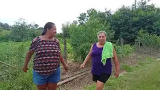 Visita no sítio 