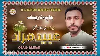 AHWALI MURAD E | OBAID MURAD || bALOCHI new nazeenk || salouki mashup