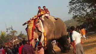 Aruvayi Pooram