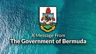 Bermuda Travel Authorisation Form - Visitor