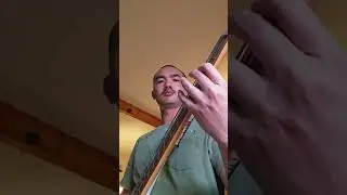 All My Loving - The Beatles (Bass Cover)  #music #realbasscover #basscover #guitar #bassfeatured