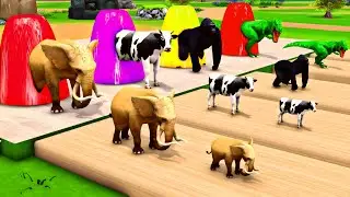 animal crossing fountain transformation with elephant , gorilla, tiger, hippo