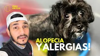 &iexcl;ESTE PERRO ESTA MUY MAL DE LA PIEL! / BA&Ntilde;O NATURAL⚠️